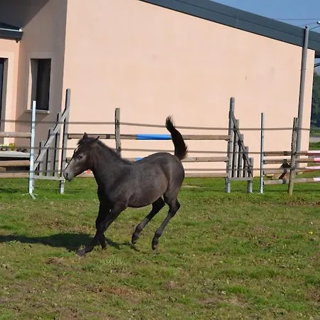 Maison Au Milieu Des Chevaux Сasa de vacaciones *